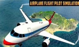 最新爆料的飞机游戏,揭秘最新飞机游戏巅峰之作