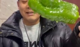 网红刘二萌吃瓜视频大全,揭秘网红幕后趣事