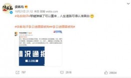 二哥热点爆料视频下载免费,免费下载视频背后的秘密